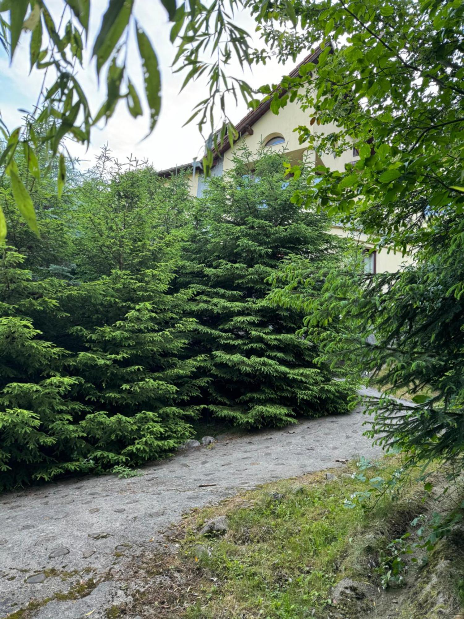 Pensiunea Ego Bran  Exteriér fotografie