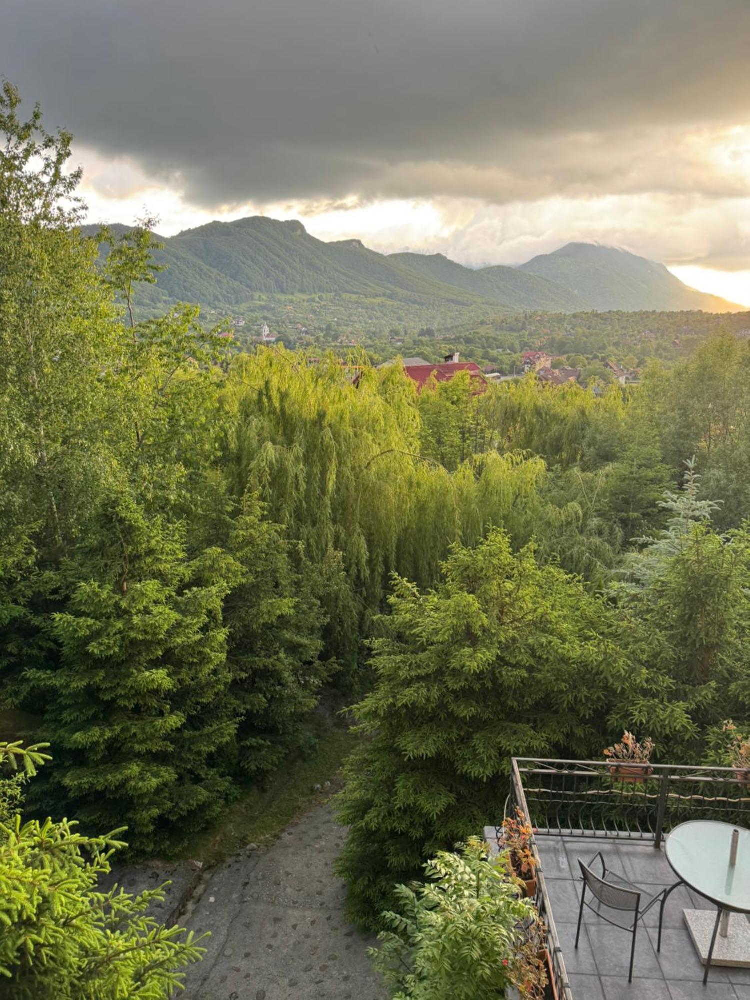 Pensiunea Ego Bran  Exteriér fotografie