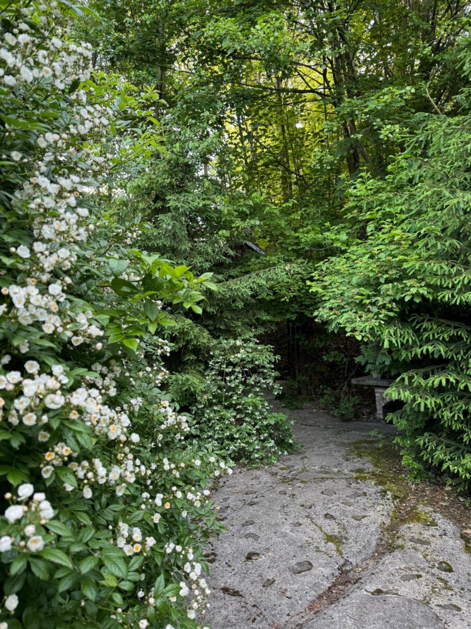 Pensiunea Ego Bran  Exteriér fotografie